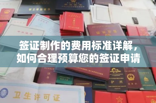 巍山签证制作的费用标准详解，如何合理预算您的签证申请成本
